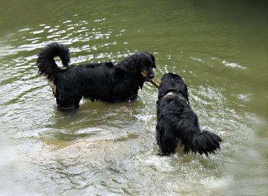 Carry und Betty